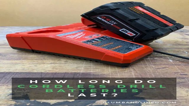 can i put cordless drill batteries in carry on 1 can i put cordless drill batteries in carry on