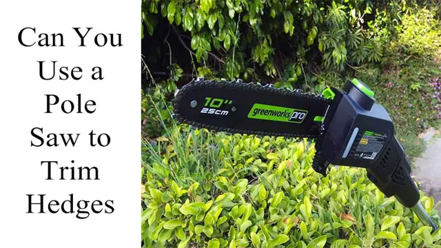 can you trim hedges with a pole saw 1 can you trim hedges with a pole saw