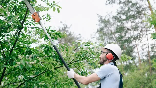 how to cut limbs with a pole saw