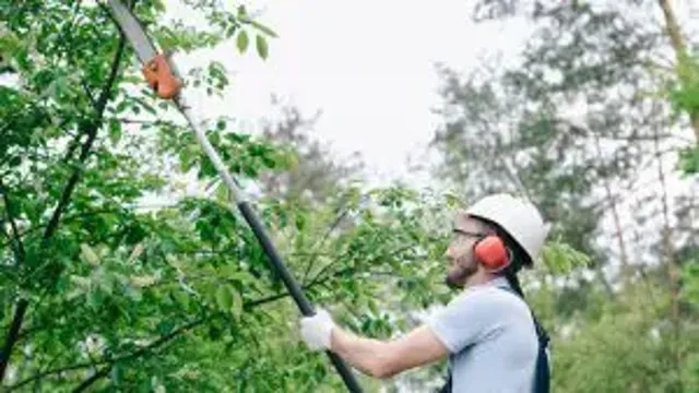 how to cut tree limbs with a pole saw how to cut tree limbs with a pole saw