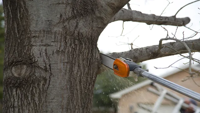 how to tighten a pole saw chain