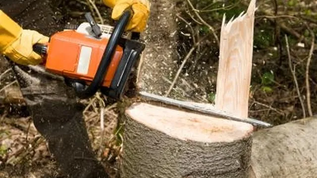 how to tighten chain on craftsman pole saw 1 how to tighten chain on craftsman pole saw