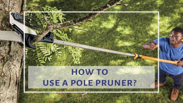 how to use a pole saw and pruner