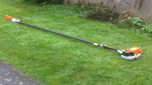 what is the best stihl pole saw