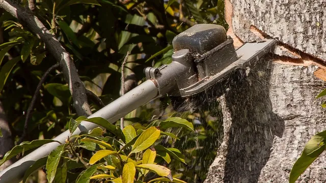 what is the rope for on a pole saw