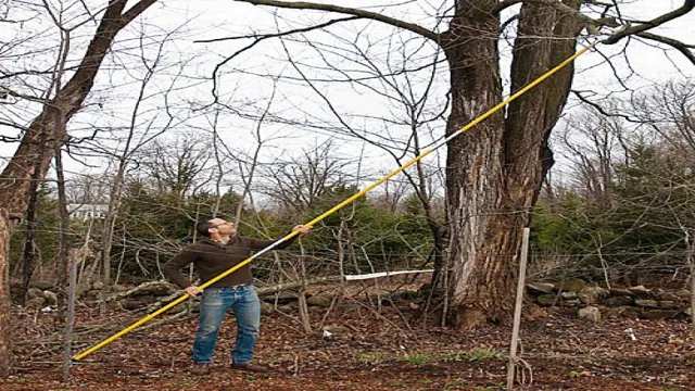 who makes the longest pole saw